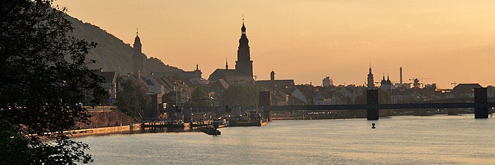 Blick auf Heidelberg