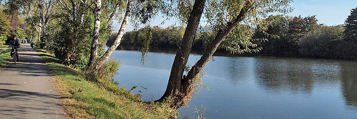 Blick auf den Neckar