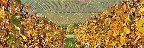 Weinberge im Herbst